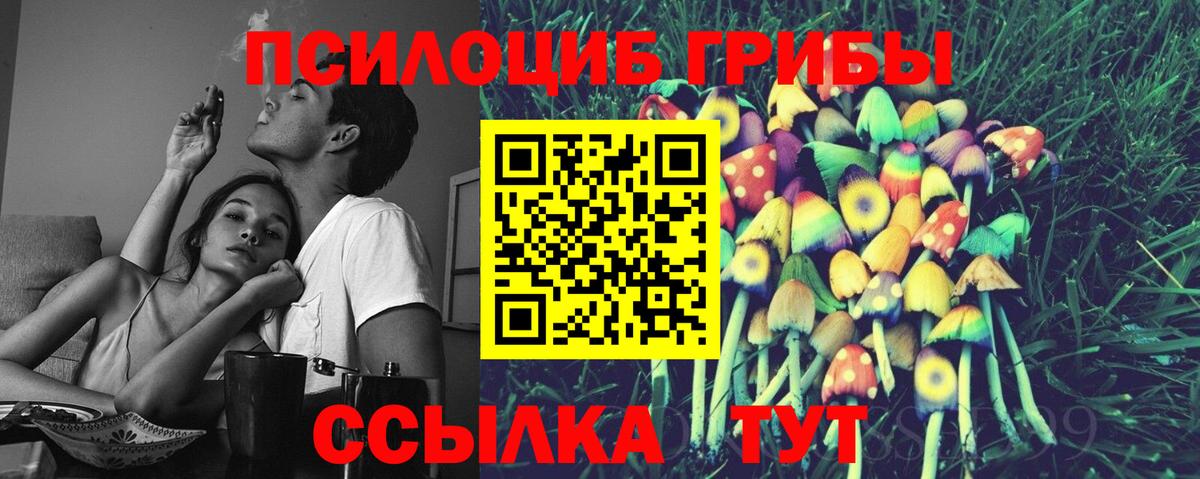 закладка  Псилоцибиновые грибы Psilocybine cubensis  Псилоцибиновые грибы ЛСД  Вход с VPN  Каменск-Уральский 